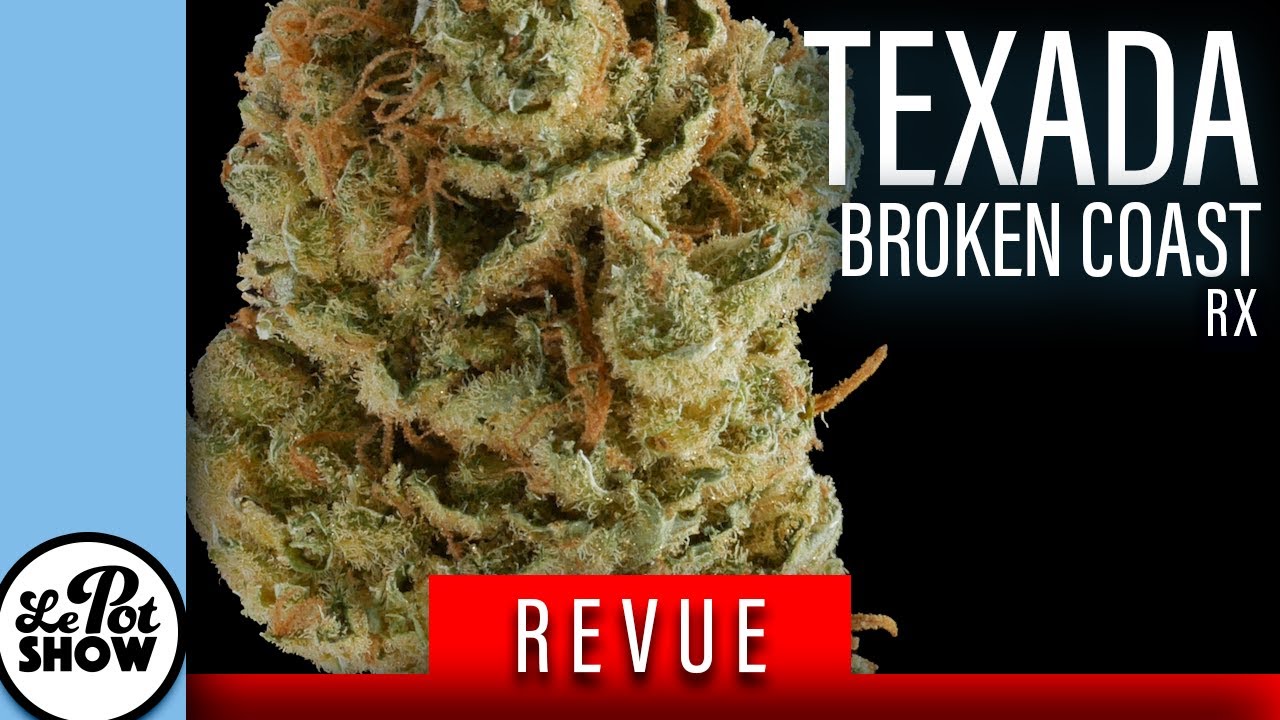revue cannabis : Texada (Super Lemon Haze) / Broken Coast