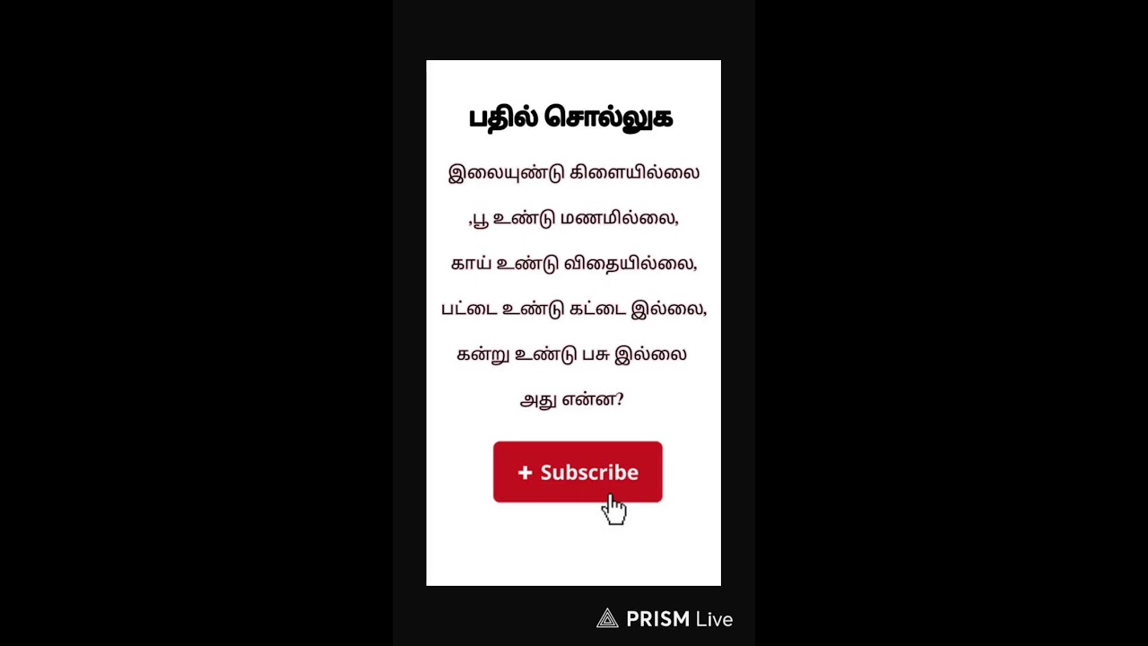 Live streaming of foodie life diaries