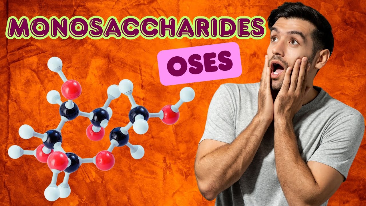 Monosaccharides : Les Sucres Simples Expliqu&eacute;s en 6 Minutes !