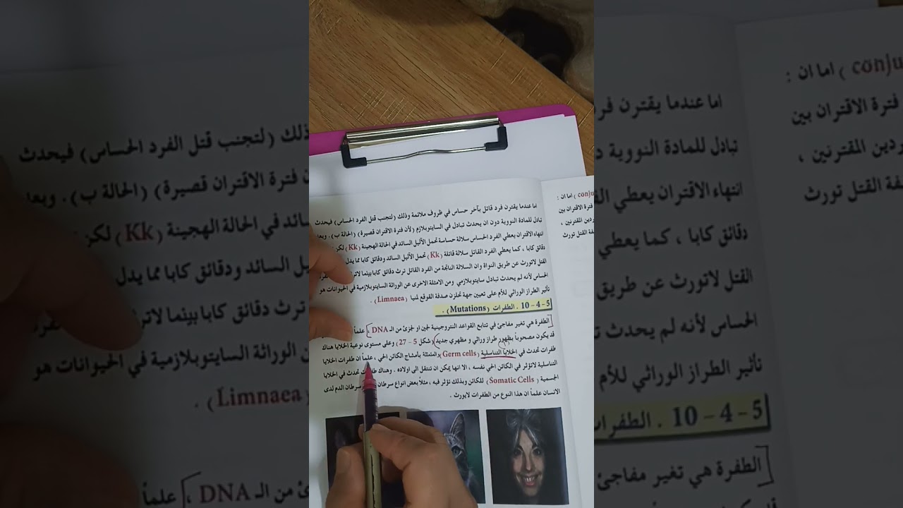 الطفرات