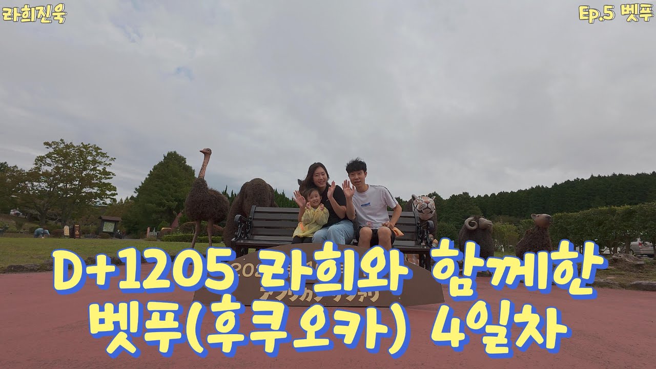 아프리칸사파리 , 지옥온천 순례 (가마도온천) , 토키오백화점 키즈카페 , 유메타운 스시메이진 까지.. 라희와 함께 대중교통으로 떠난 후쿠오카/벳푸 4일차
