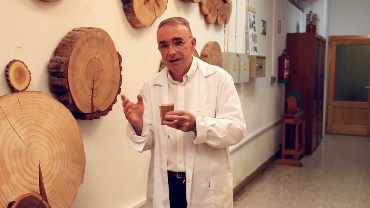 Albura y duramen en el muestreo de maderas