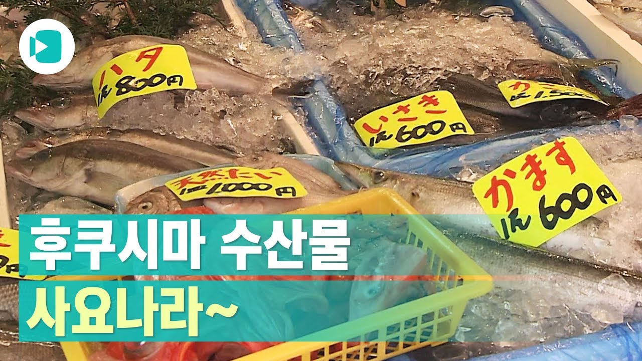후쿠시마 수산물 사라고요? 사요나라!  / 비디오머그