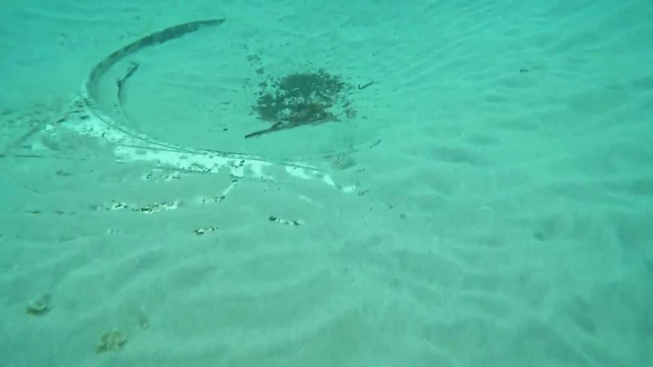 Junkers Ju 90 - plage de la Marana