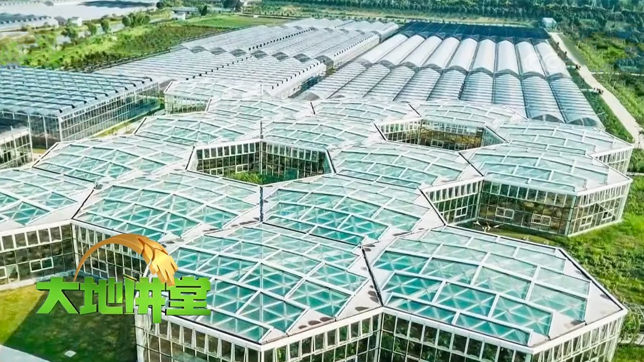 占地1700亩的生态农场，有一群年轻人建设着他们“希望的田野”！ | 「大地讲堂」20210530