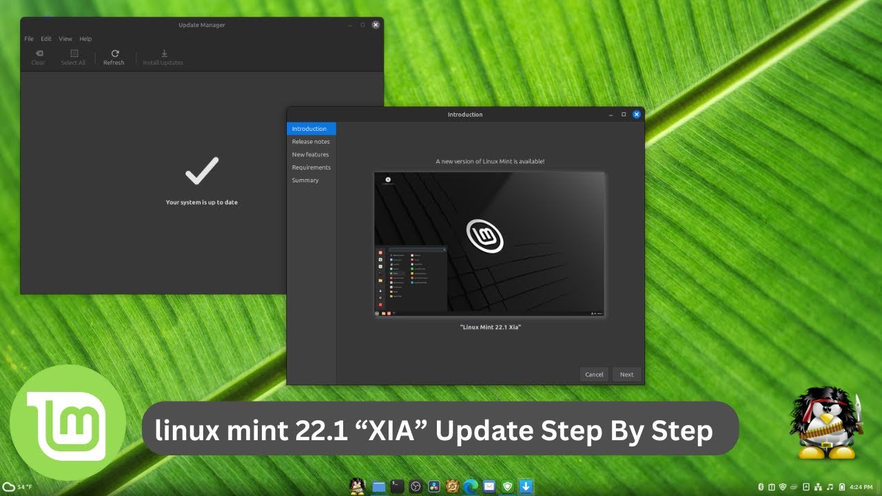 Linux Mint 22.1 