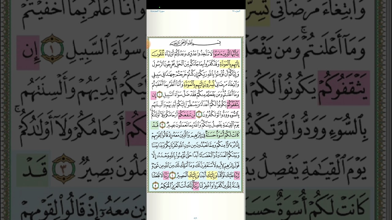 تثبيت وتربيط المقطع الأول من سورة الممتحنة من [ أية ١ حتى أية ٦ ]
