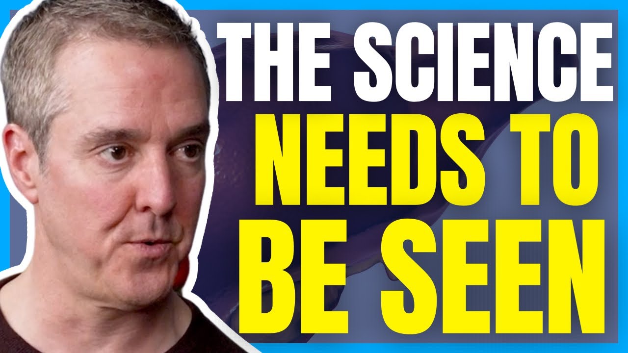Harvard Psychiatrist on How Alcohol Negatively Changes Our Brain Forever