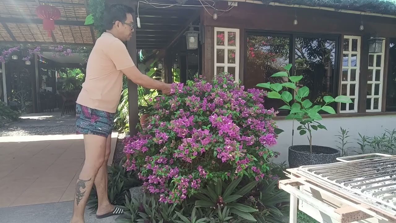 BONGGANG VILLA