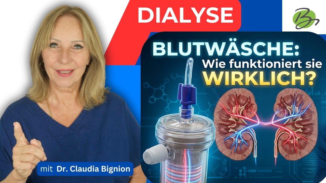 Wie funktioniert Blutw&auml;sche wirklich? | Dr. Claudia Bignion