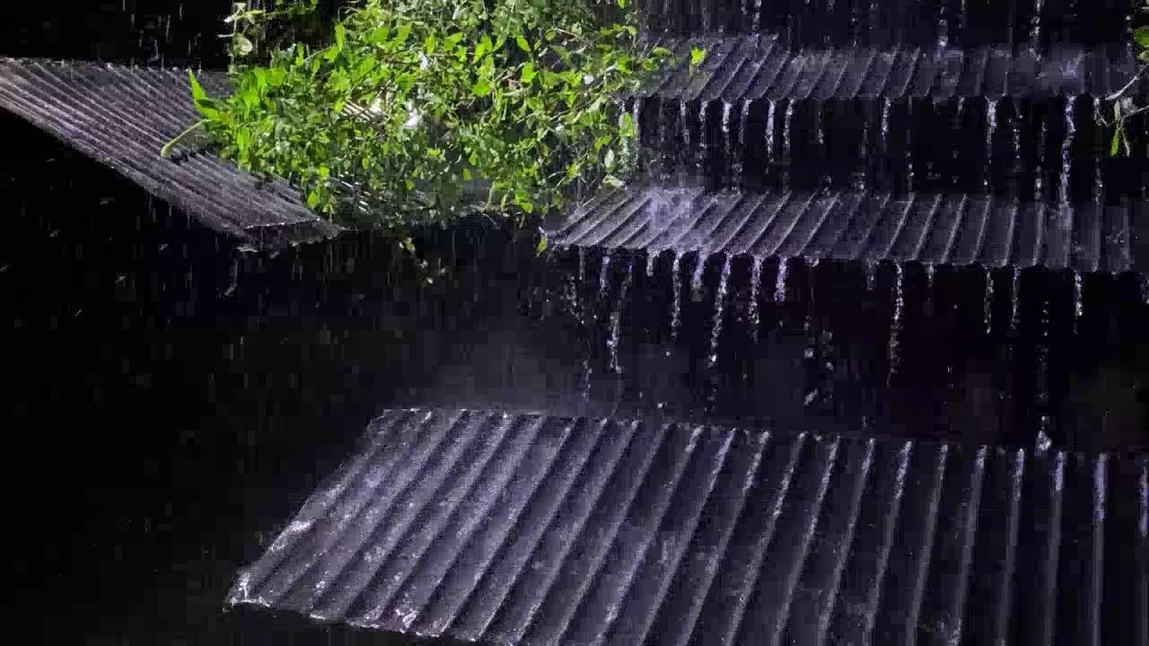 Deep Sleep in Minutes | Heavy Rainstorm & Thunder Sounds at Night