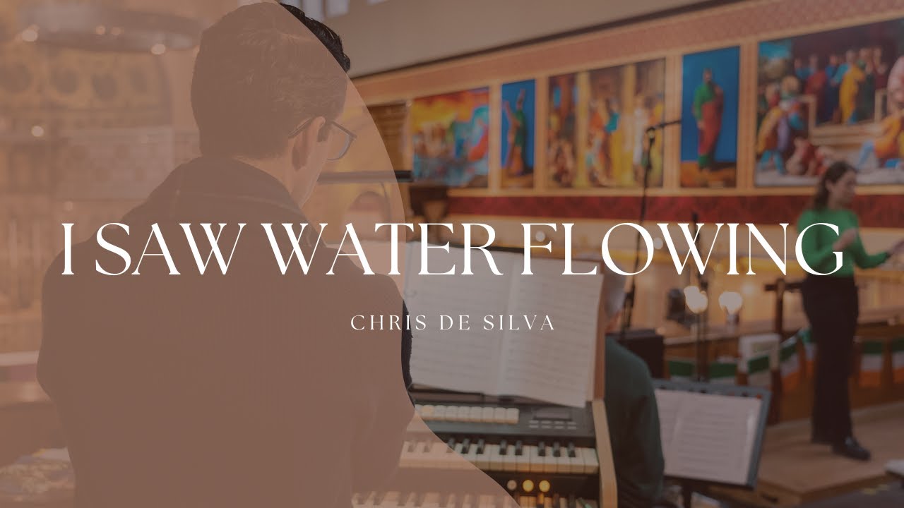 I Saw Water Flowing - Chris de Silva