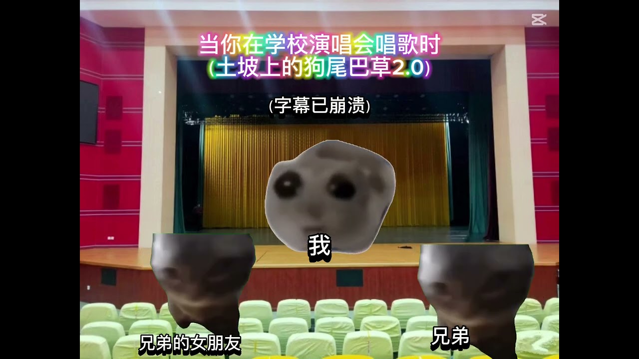 猫meme| 土坡上的狗尾巴草2.0