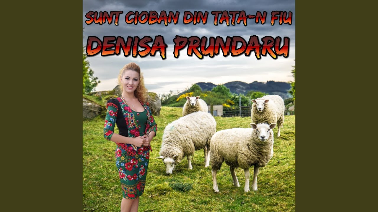 Eu Am Turma Numeroasa