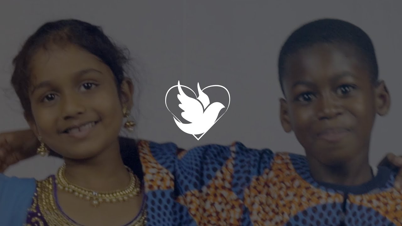 Afrosia | Sam Daniel (ft. Shabach & Ccippo) | Official Music Video