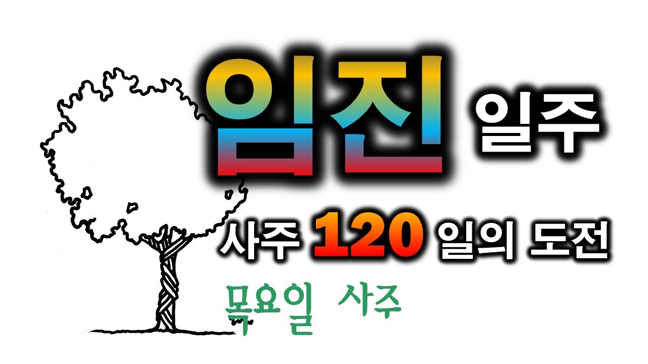 임진일주 한방정리(111일차)