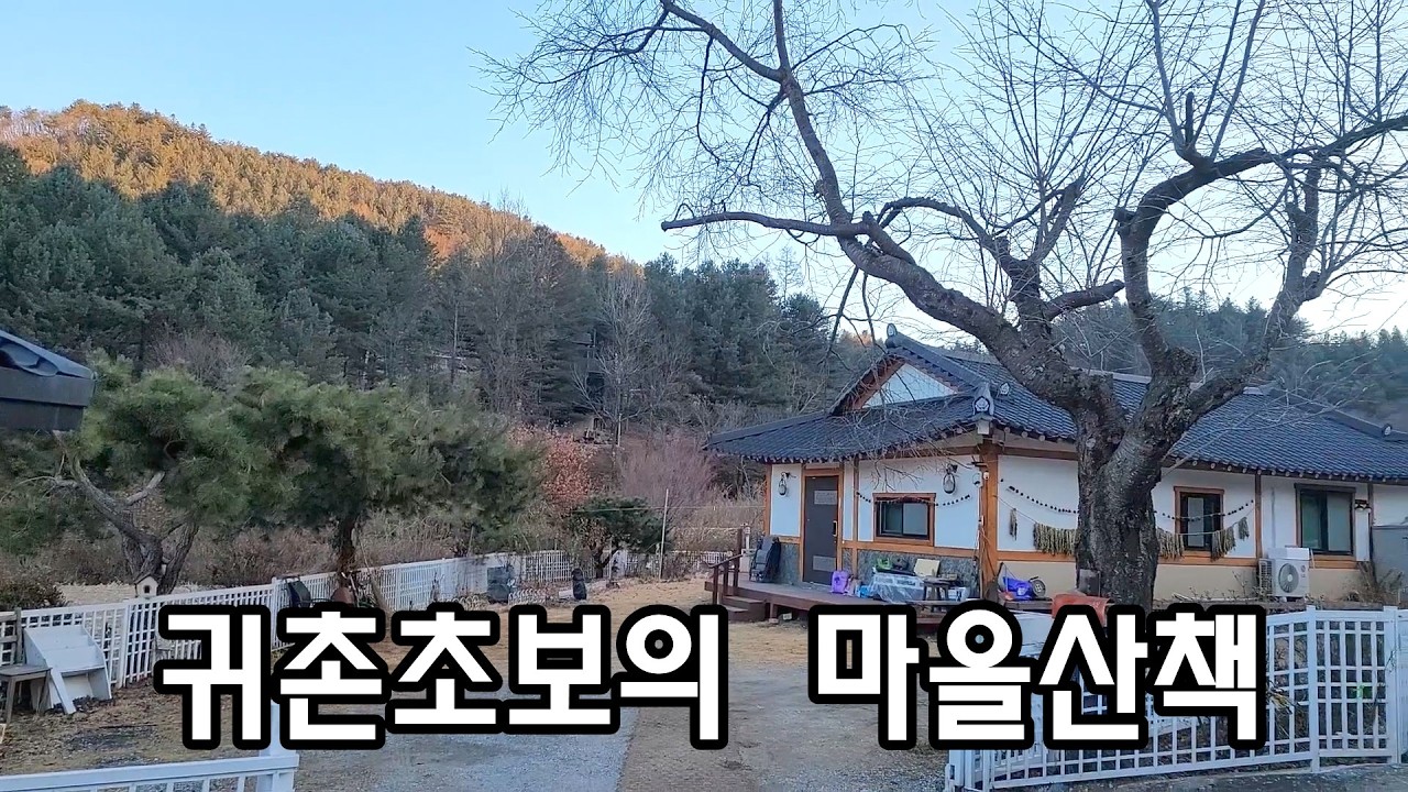 귀촌초보가 사는 마을/예쁜집들과 폐가 구경/아름다운 시골 풍경/평화로운 들판에서의 힐링/beautiful countryside scenery