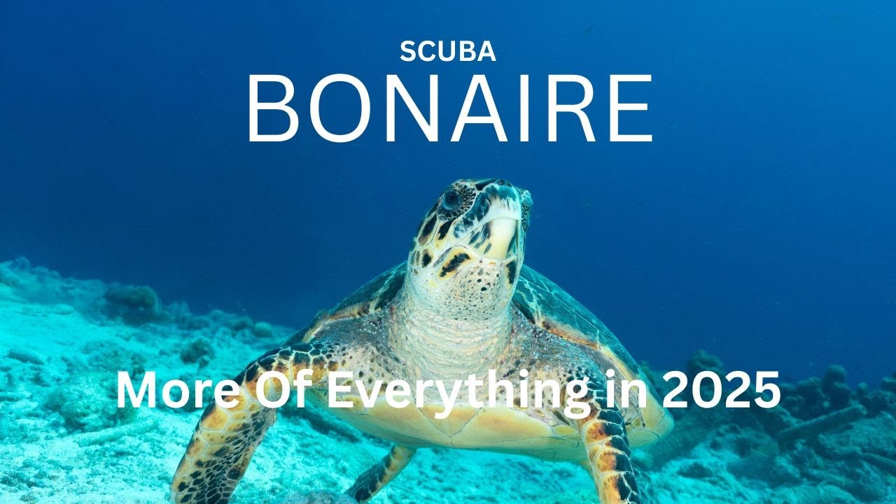 Scuba BONAIRE. More Of Everything In 2025