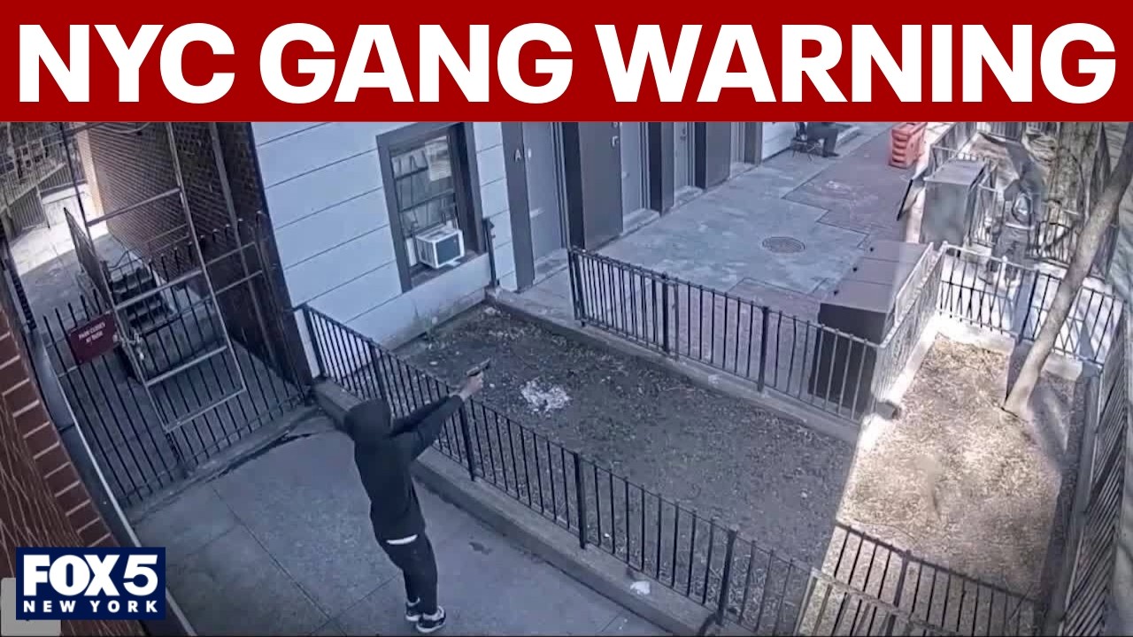 NYC gang membership reaches all-time high, police warn