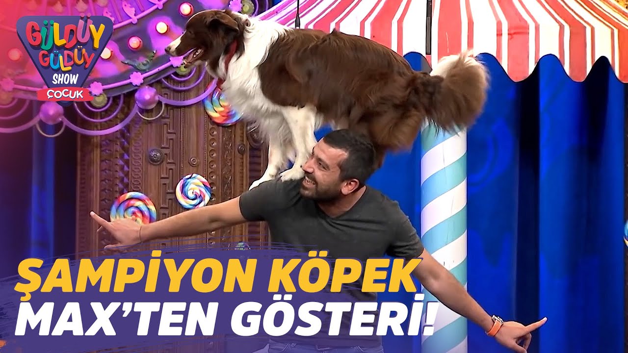 Şampiyon Köpek Max'ten Gösteri! | Güldüy Güldüy Show Çocuk