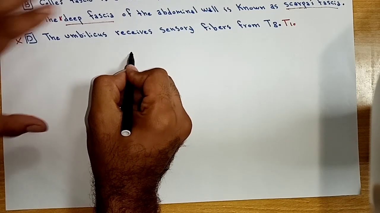 Abdomen, MCQs for Revision, Part II By Ahmed Belhaj