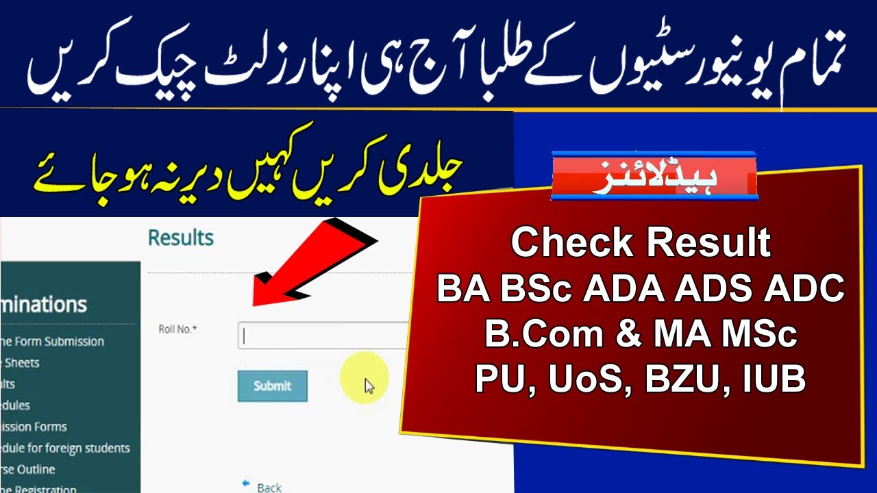 Check Result of BA BSc ADA ADS ADC B.Com Exams 2021 | PU UoS IUB BZU Exams 2021 Result
