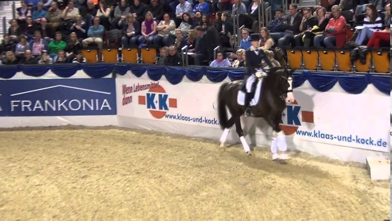 CALLAHO's BENICIO & Jessica Andersson - Hengstgala 2015