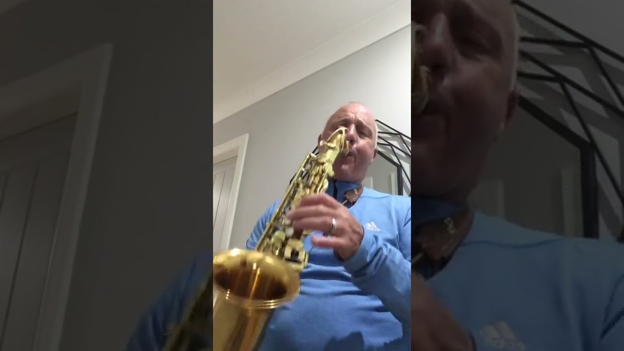 Welcome to my world (alto sax instrumental)