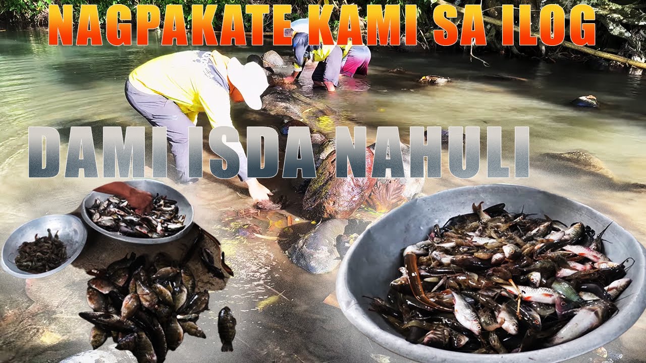 Buhay sa Laguna | Kalikasang yaman ng Ilog Tipacan | masaganang huli