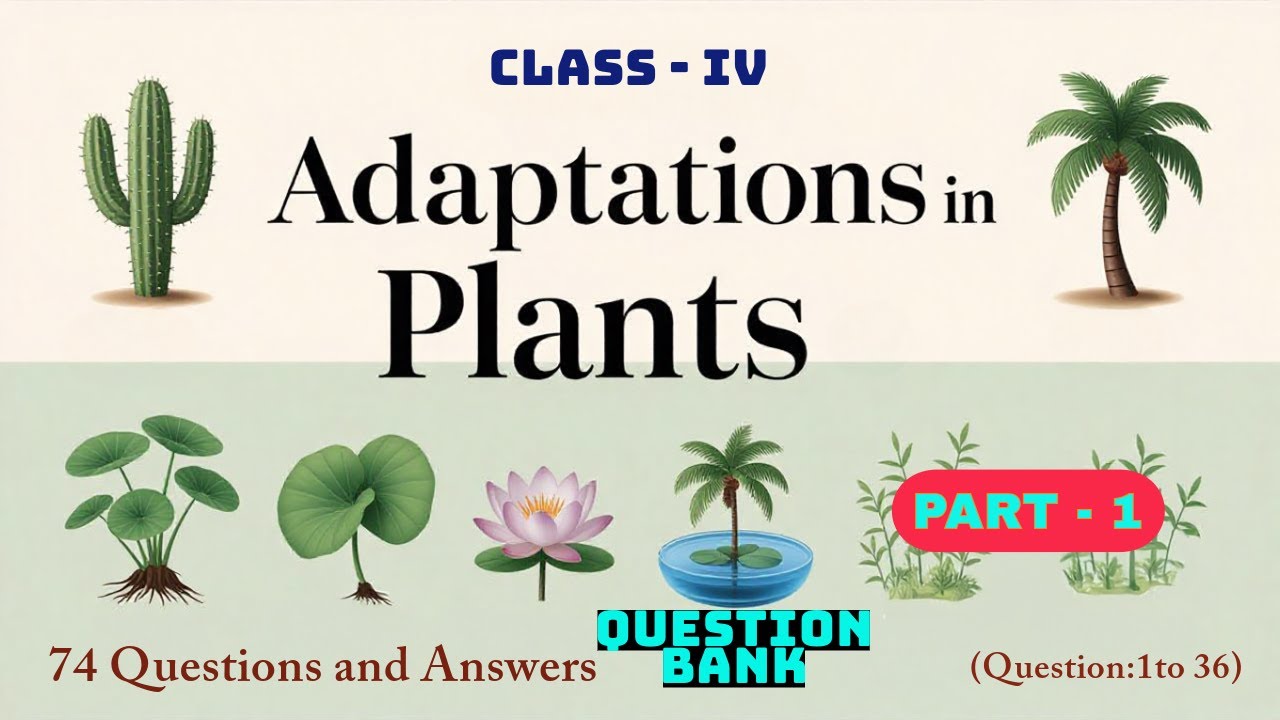 Adaptation in Plants, Part-1 (Question 1-35) | 74 Questions & Answers | Class 4 Science