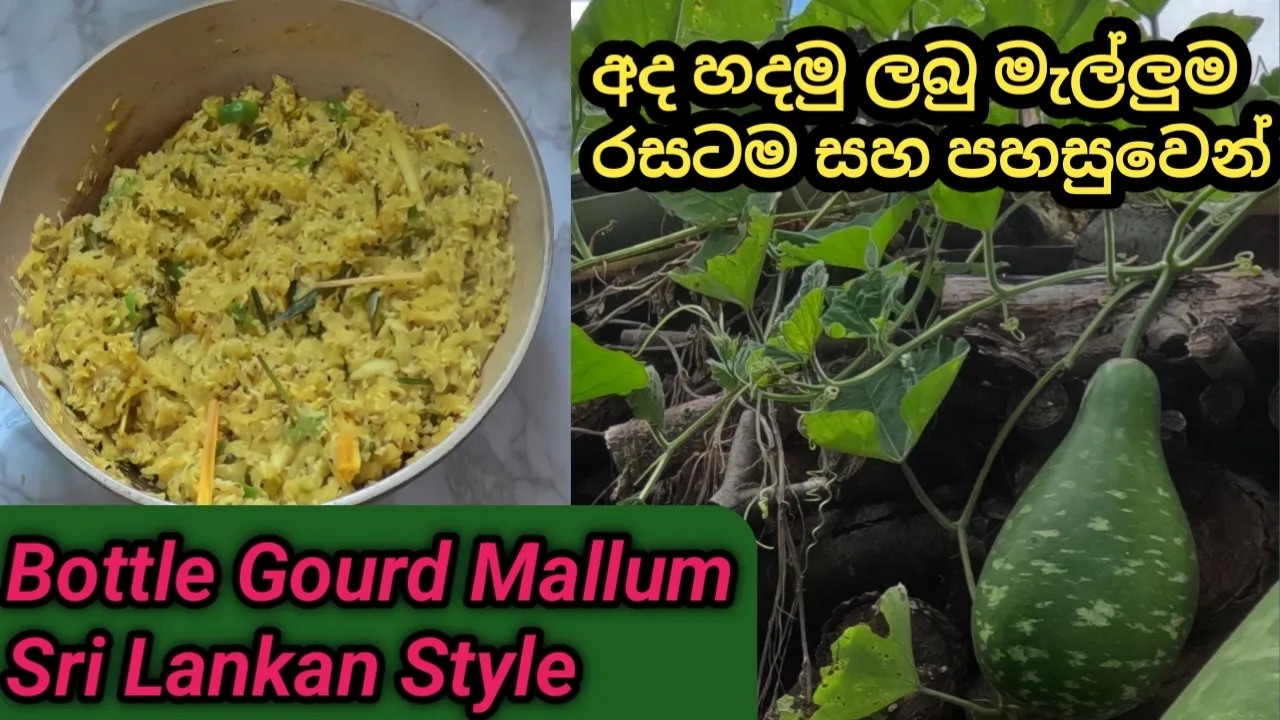 ශරීරයට හිතකරලබු මැල්ලුම🍐Traditional Bottle Gourd Mallum Recipe | Healthy & Easy😋🤌