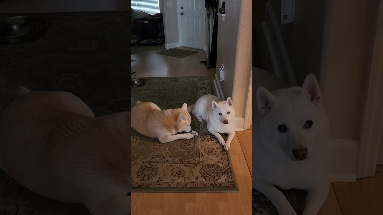 Keiko and Yuki