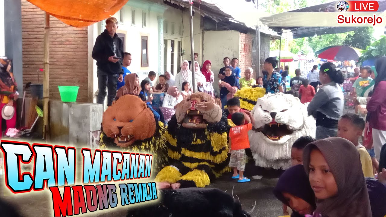 CAN MACANAN MAONG YOUNG PEOPLE PERFORM IN SUKOREJO