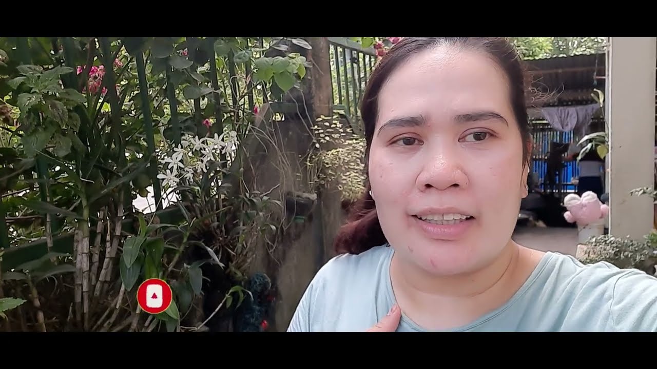 our life in provence with arvee and grace/lifestlyvlog/lifeinprovence |lucille realitytv