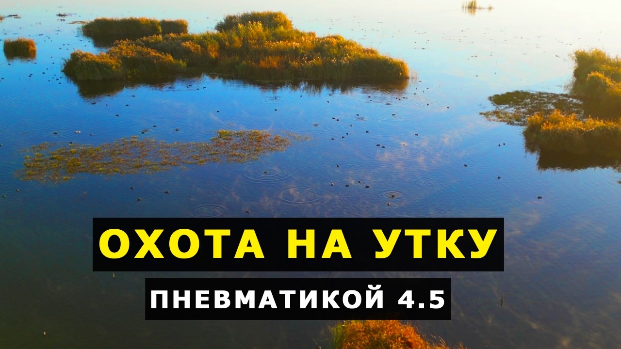 ЛУЧШЕЕ ОЗЕРО для ОХОТЫ с ПНЕВМАТИКОЙ на УТКУ