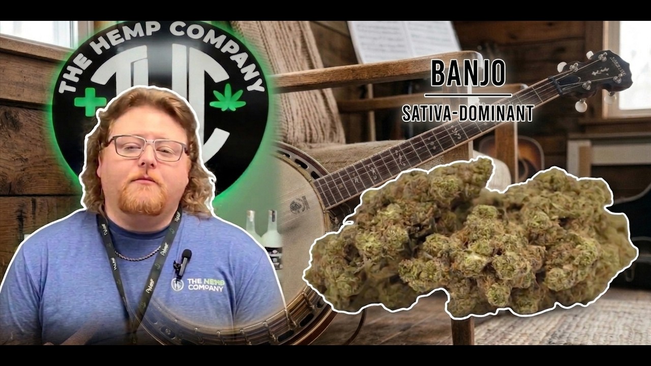Pickin' on Banjo Strain Review: Pickin' Good Vibes