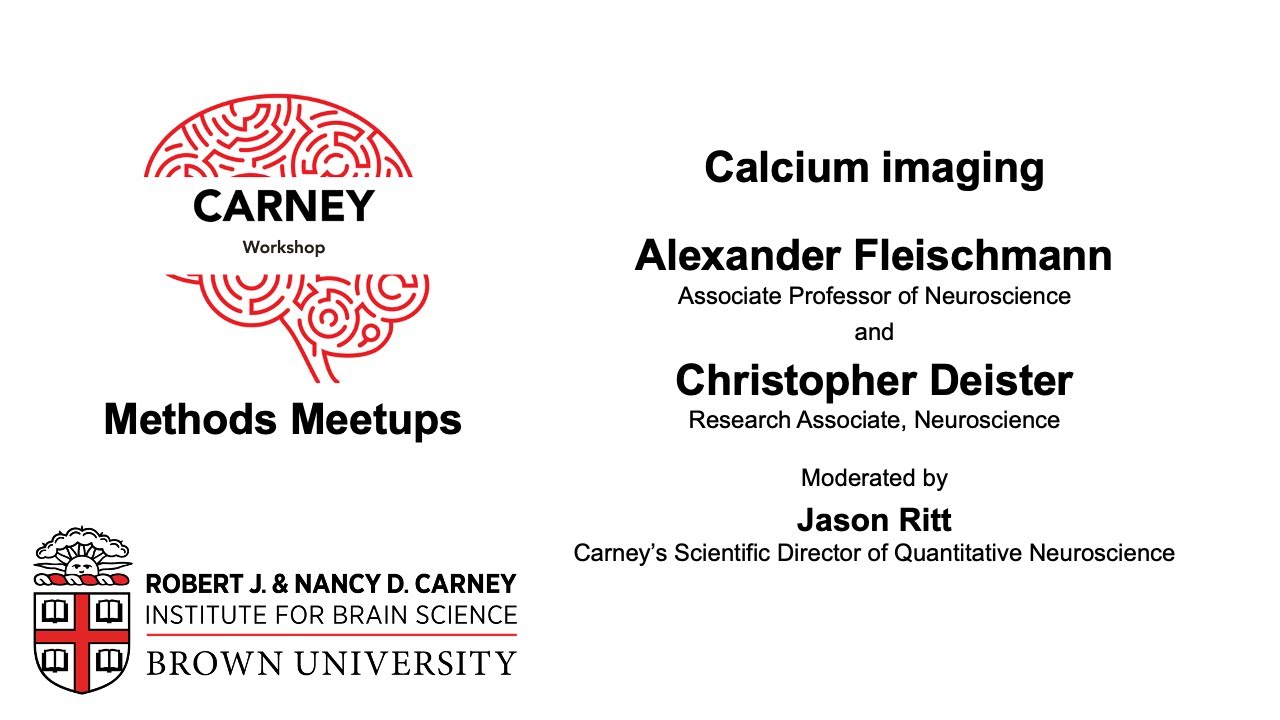 Calcium Imaging, with Alexander Fleischmann and Christopher Deister (Methods Meetup 20200602)