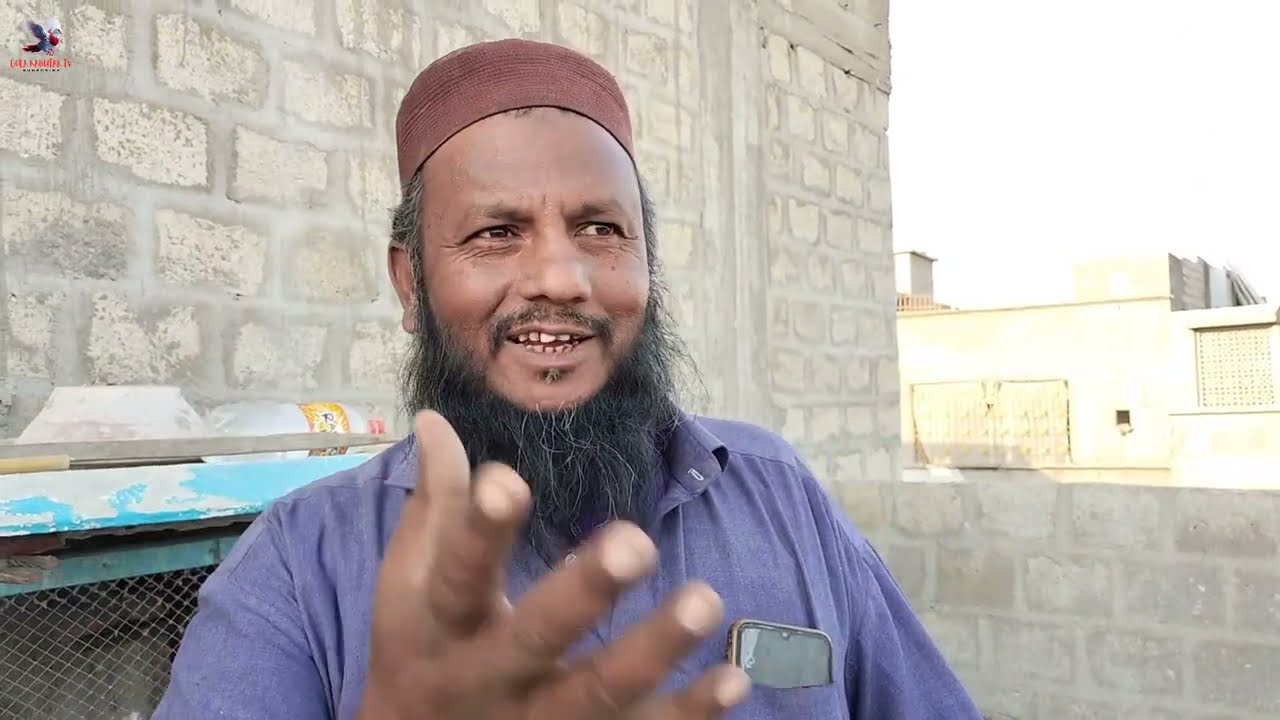 Farhan Bhai New Pigeon Training Video .. 😯