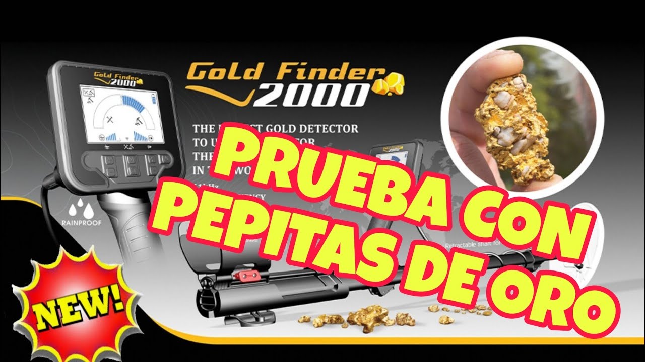 GOLD FINDER 2000 - Prueba en Terreno con PEPITAS DE ORO