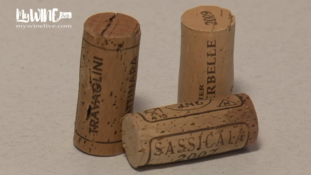 Il tappo del vino. Tipologie e curiosità
