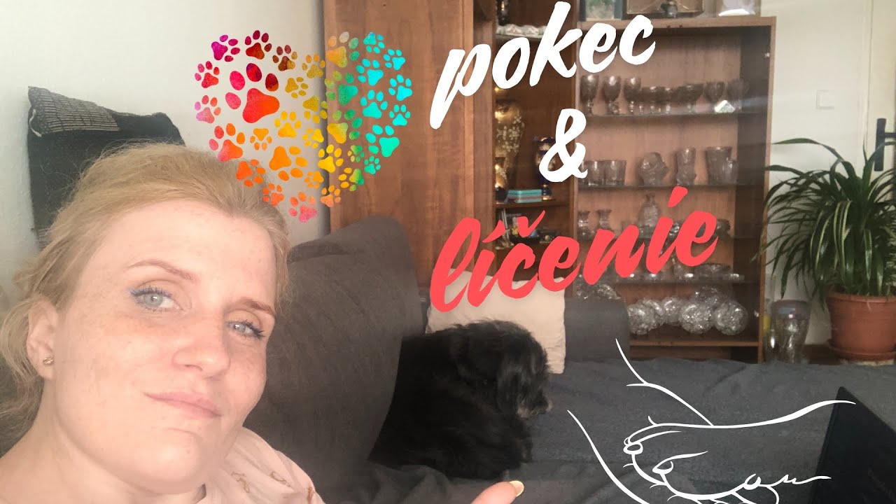 spolu pokecáme pri líčení - pes a mačička