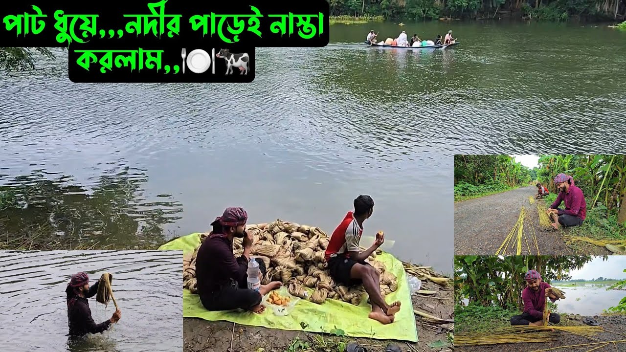 পাট ধুয়ে,,,নদীর পাড়েই নাস্তা করলাম,,🍽🐄
