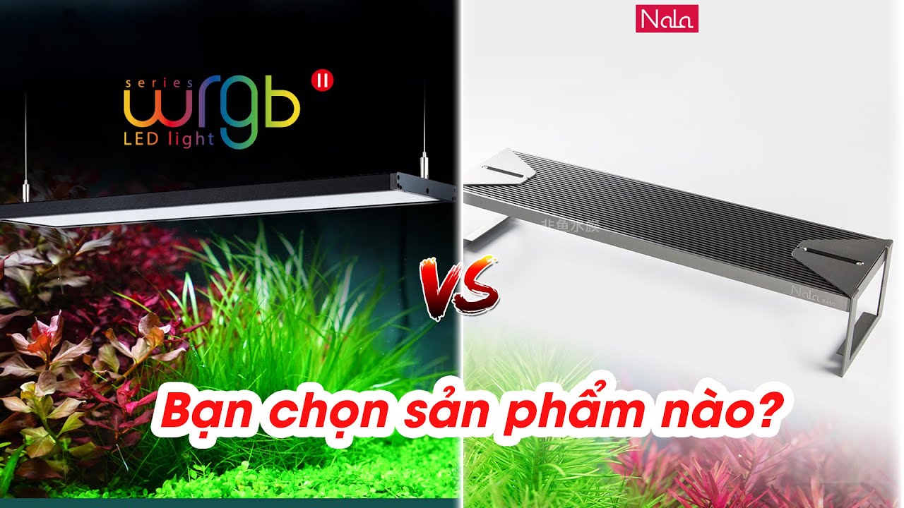 Review đèn Chihiros WRGB 2 và so sánh với đèn Nala - Thủy Sinh 4U
