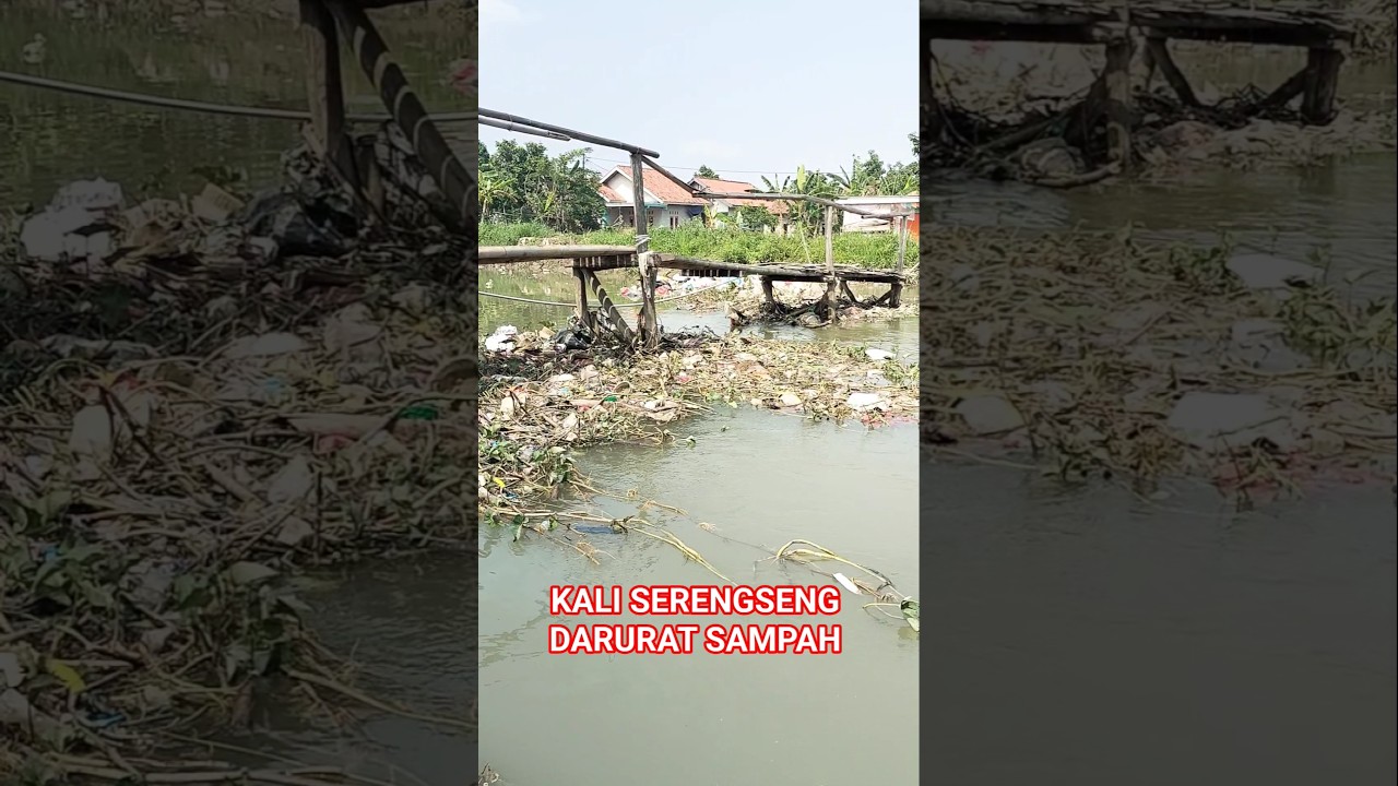 jembatan kali Serengseng Darurat sampah Berton2 bikin heboh #shorts