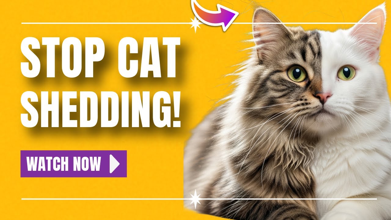 Stop Cat Shedding in Its Tracks: 5 Proven Ways to Reduce Cat Hair Everywhere
