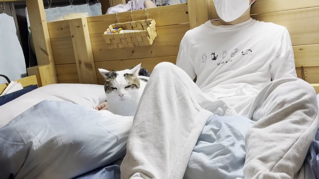 息子が寝るまで寄り添ってあげる猫
