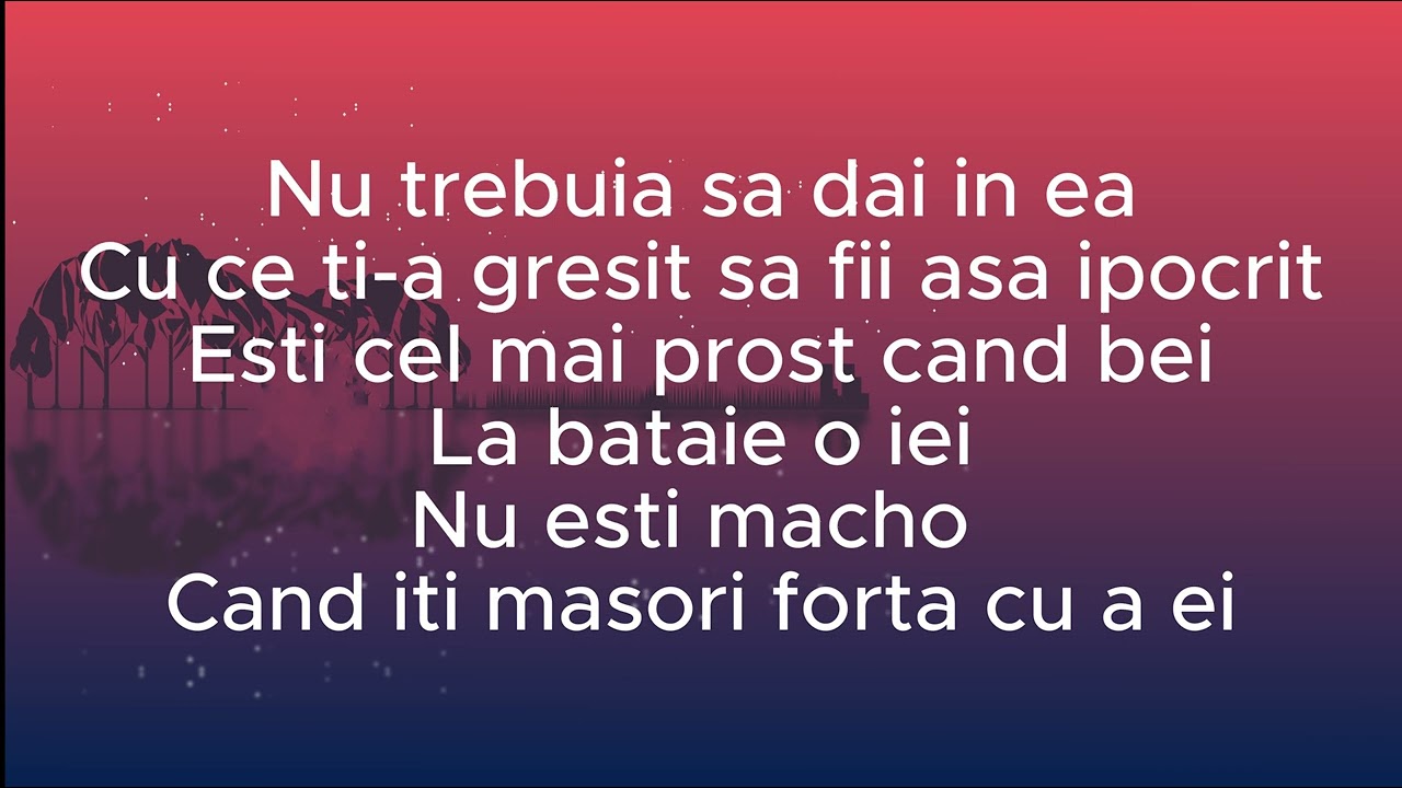 KARAOKE - De ce i-ai promis - Jador & Nikolas Sax