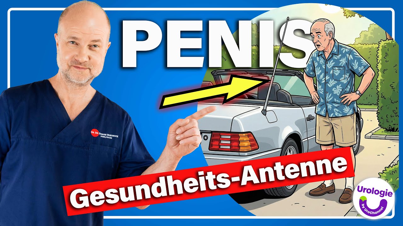 UROLOGE: Die „Werkstattleuchte“ des Mannes – was der PENIS verrät