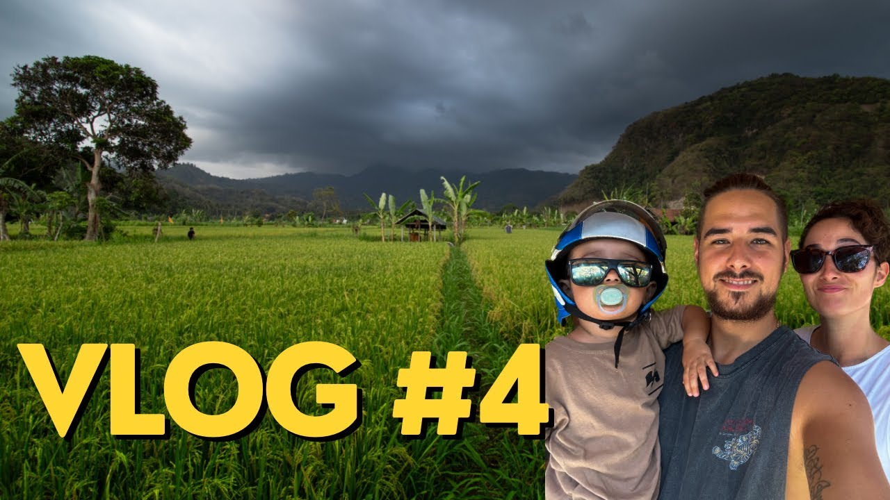 Bali VLOG#4 - Ausflug ins Landesinnere, Business-Talk & Arztbesuch