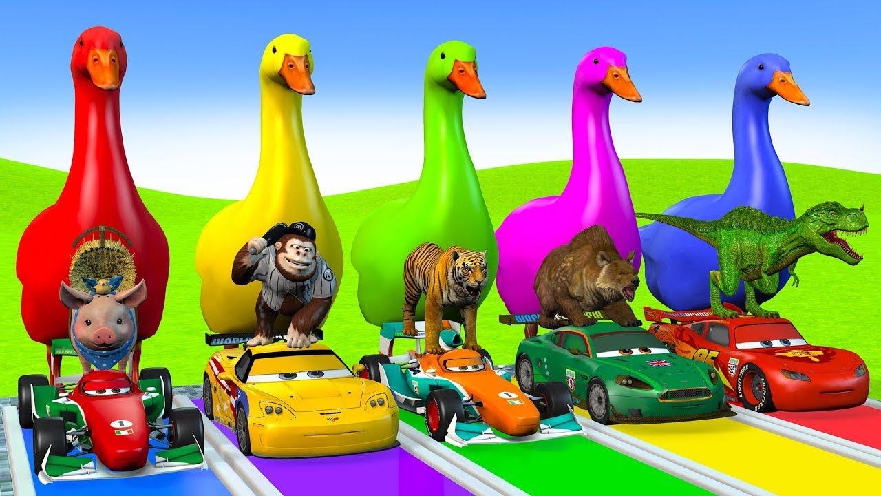 Crazy Animal & Car Racing with Giant Ducks | Fun Cartoon Race for Kids | Animals Crossing Fountain